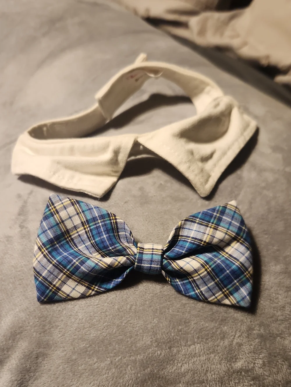 Bow Tie Dog Collar